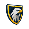Motion Falcon Logo